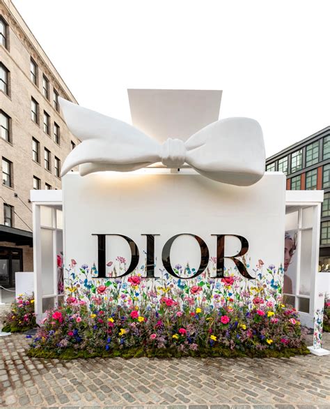 dior backdrop